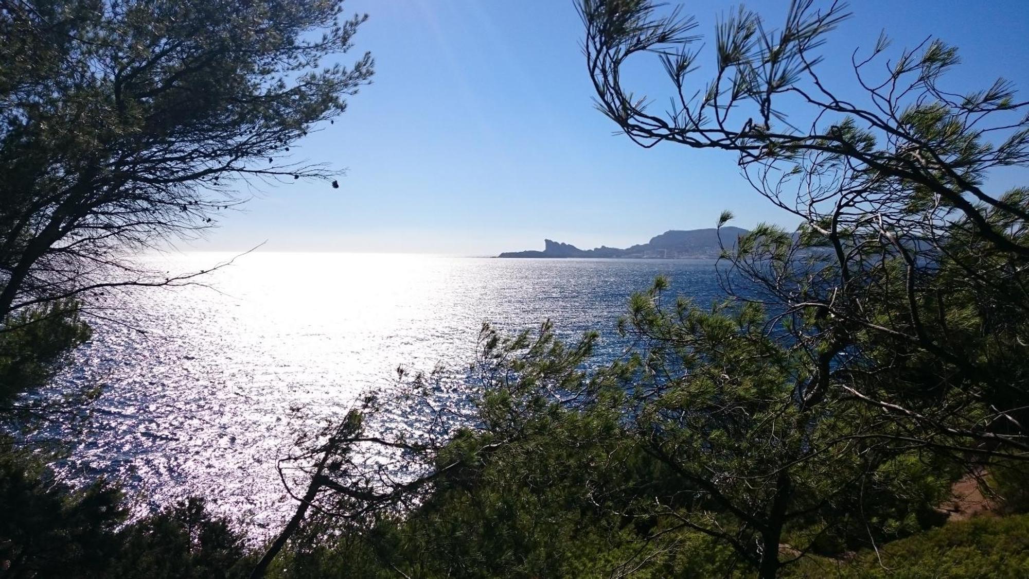 Studio Del Sol Saint-Cyr-sur-Mer Eksteriør billede
